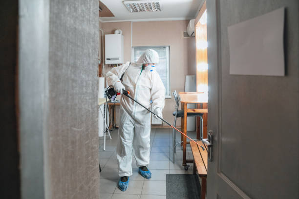 Best Real Estate Mold Inspection  in Citrus Park, FL