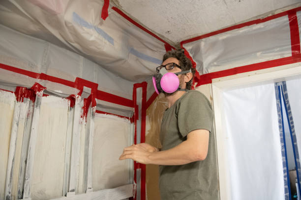 Best Post-Remediation Verification Testing  in Citrus Park, FL