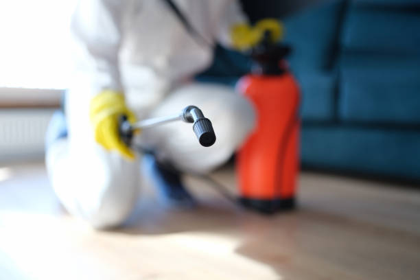 Environmental Consulting for Mold Prevention in Citrus Park, FL