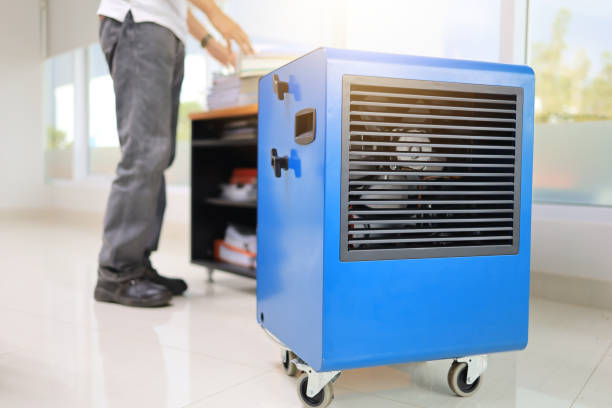 Best Air Quality Testing for Mold Spores  in Citrus Park, FL