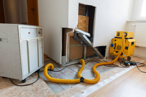 Best Forensic Mold Investigation  in Citrus Park, FL