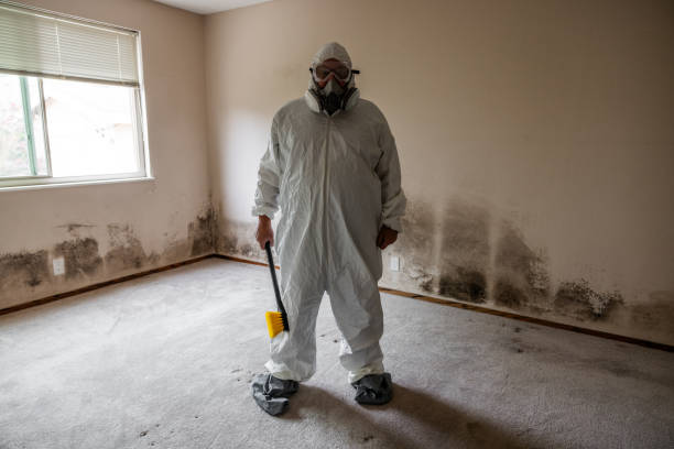 Best Mold Removal for HVAC Installations  in Citrus Park, FL